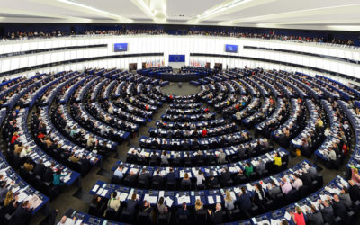 The Tax Goals of the New EU Parliament